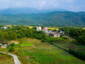 安徽桐城市鄉(xiāng)村振興局：統(tǒng)籌推進(jìn)鄉(xiāng)村振興戰(zhàn)略高質(zhì)量發(fā)展