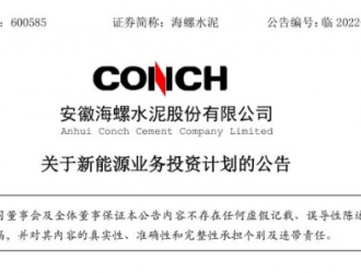 海螺水泥進軍新能源領域，年底光伏裝機將達1GW！