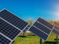 Aquila、FarNorthSolar新西蘭啟動1GW項目