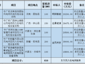650MW！明陽、遠景、金風預中標中廣核風電機組采購！